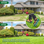 Heavy-Duty Lawn Aerator Shoes with Hook-and-Loop Straps